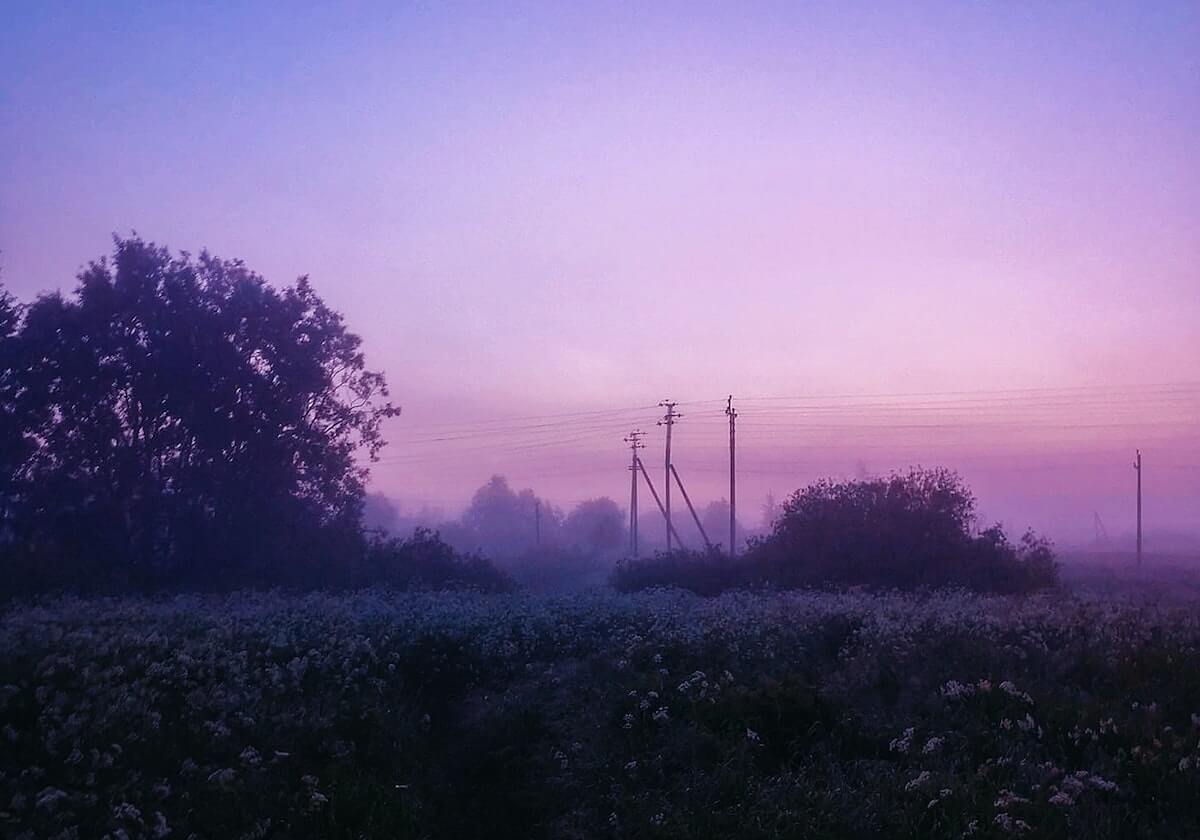 开云体育官方下载-买马挣钱网站app:开启马匹投资的新纪元,让智慧点亮收益